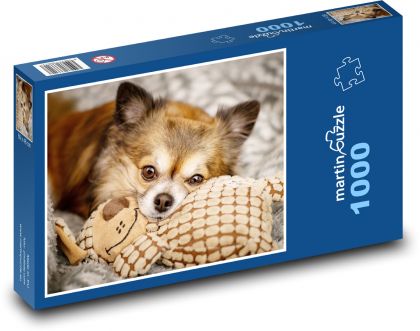 Pes - čivava - puzzle 1000 dílků