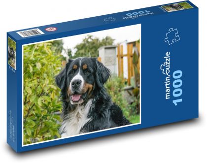 Bernský salašnický pes - puzzle 1000 dílků