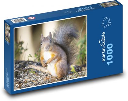 Wiewiórka - gryzoń - Puzzle 1000 elementów, rozmiar 60x46 cm