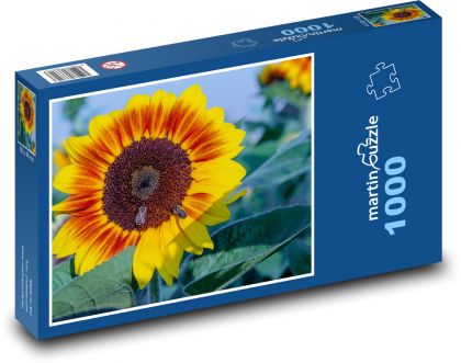 Slunečnice - včely - puzzle 1000 dílků