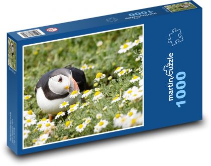 Vták - Puffin - Puzzle 1000 dielikov, rozmer 60x46 cm
