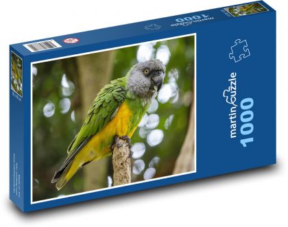 Papagáj - vták - Puzzle 1000 dielikov, rozmer 60x46 cm