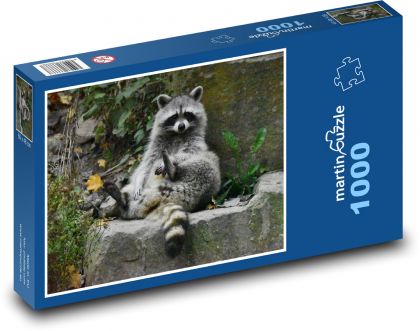 Raccoon  - Puzzle 1000 pieces, size 60x46 cm 