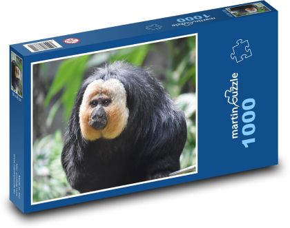 Whitening tail - monkey - Puzzle 1000 pieces, size 60x46 cm 
