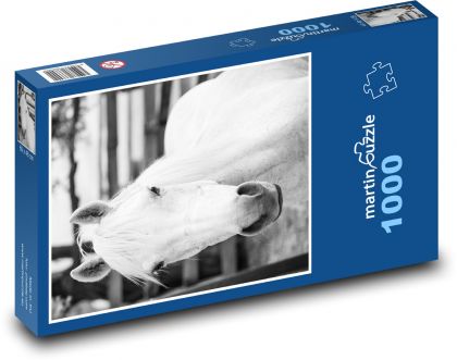 Koń na farmie - Puzzle 1000 elementów, rozmiar 60x46 cm