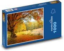 Jeseň - les, stromy Puzzle 1000 dielikov - 60 x 46 cm 