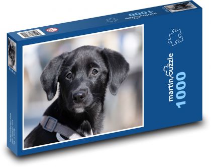 Labrador - Hund, Welpe - Puzzle - 1000 Teile