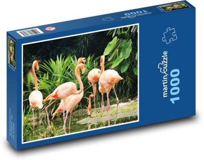 Plameňáci - puzzle 1000 dílků