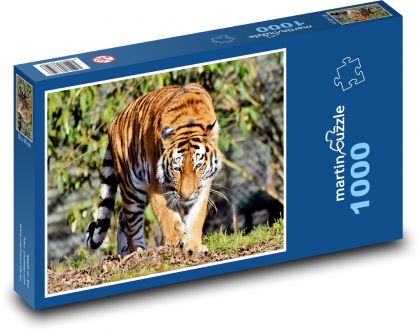 Tiger - veľká mačka - Puzzle 1000 dielikov, rozmer 60x46 cm