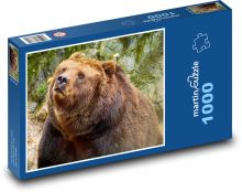 Medvěd hnědý Puzzle 1000 dílků - 60 x 46 cm