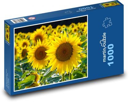 Yellow flowers - sunflowers - Puzzle 1000 pieces, size 60x46 cm 