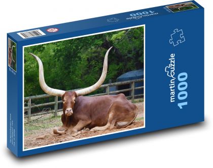 Rohy - býk - Puzzle 1000 dielikov, rozmer 60x46 cm