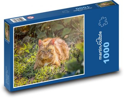 Zardzewiały kot w trawie - Puzzle 1000 elementów, rozmiar 60x46 cm