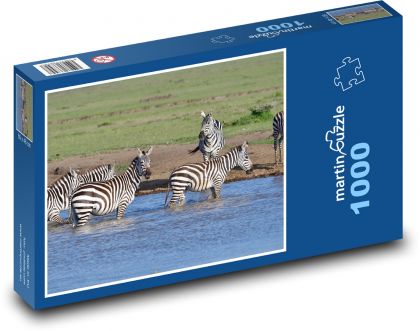 Afrika - zebra - Puzzle 1000 dielikov, rozmer 60x46 cm
