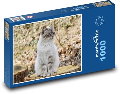 Kot - zwierzę - Puzzle 1000 elementów, rozmiar 60x46 cm