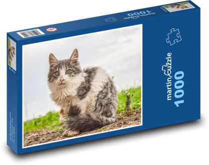 Stray cat - Puzzle 1000 pieces, size 60x46 cm 