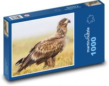 Orol morský Puzzle 1000 dielikov - 60 x 46 cm 