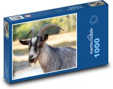 Goat - Mammal Puzzle 1000 pieces - 60 x 46 cm