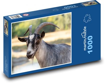 Goat - Mammal - Puzzle 1000 pieces, size 60x46 cm 