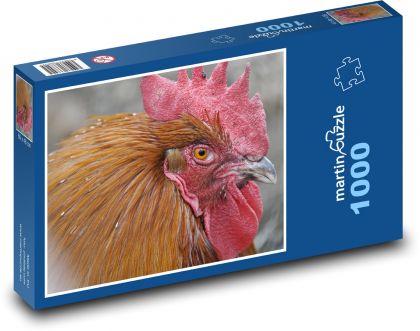 Ptak - Kogut - Puzzle 1000 elementów, rozmiar 60x46 cm