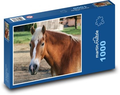 Hnědý kůň - puzzle 1000 dílků