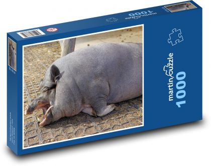 Prasa - Puzzle 1000 dielikov, rozmer 60x46 cm