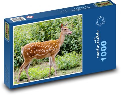 Jeleň - zviera - Puzzle 1000 dielikov, rozmer 60x46 cm