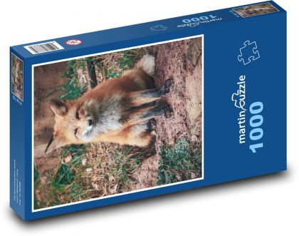 Liška v lese - puzzle 1000 dílků