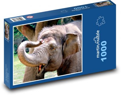 Slon - savec - puzzle 1000 dílků