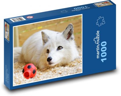 Líška biela - Puzzle 1000 dielikov, rozmer 60x46 cm