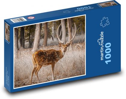 Jeleň - zviera - Puzzle 1000 dielikov, rozmer 60x46 cm