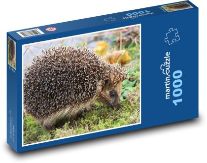 Ježko - cicavec - Puzzle 1000 dielikov, rozmer 60x46 cm