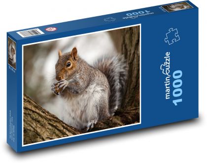 Zviera - veverička - Puzzle 1000 dielikov, rozmer 60x46 cm