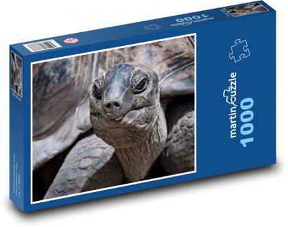 Želva - plaz - puzzle 1000 dílků
