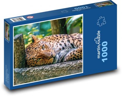 Leopard - zvíře - puzzle 1000 dílků