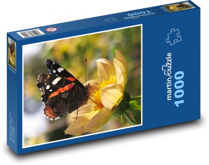 Admirał - motyl - Puzzle 1000 elementów, rozmiar 60x46 cm