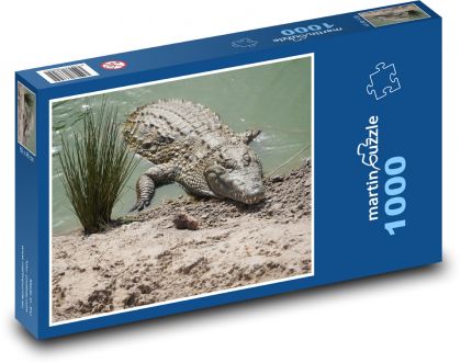 Krokodíl. - Puzzle 1000 dielikov, rozmer 60x46 cm