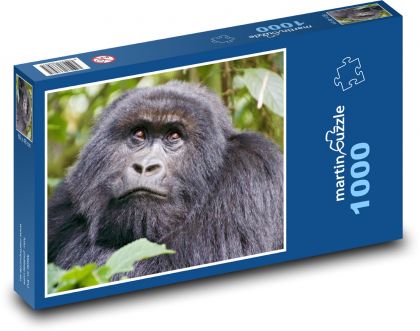 Gorila - Puzzle 1000 dielikov, rozmer 60x46 cm