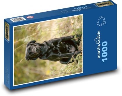 Black Labrador - Dog - Puzzle 1000 pieces, size 60x46 cm 