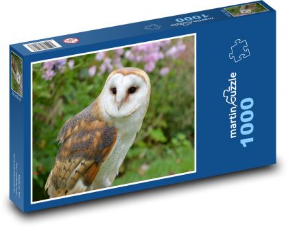 Sova - pták - puzzle 1000 dílků