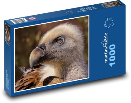 Sęp - ptak - Puzzle 1000 elementów, rozmiar 60x46 cm