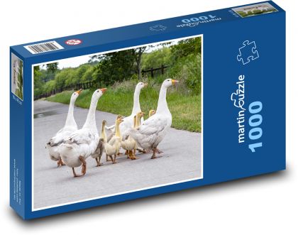 Husi na ceste - Puzzle 1000 dielikov, rozmer 60x46 cm