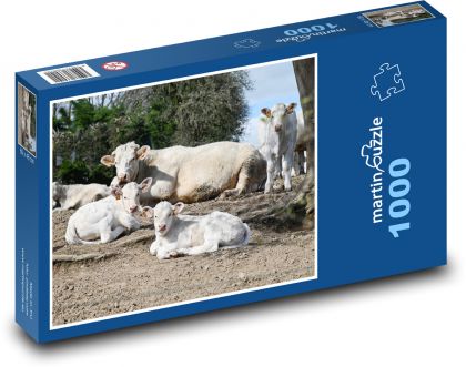 Odpočívající krávy a telata - puzzle 1000 dílků