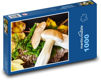 Podzimní nadílka hub - puzzle 1000 dílků