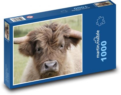 Chlupatá hnědá kráva - puzzle 1000 dílků
