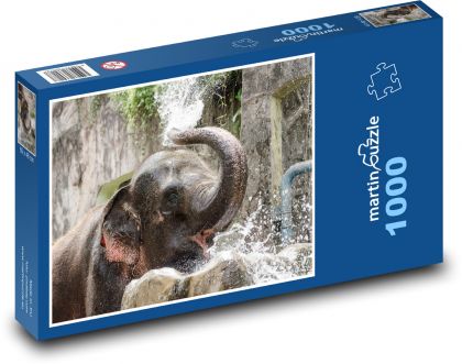Sprchovanie slona - Puzzle 1000 dielikov, rozmer 60x46 cm