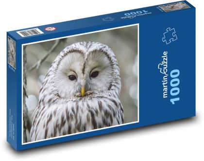 Large white owl - Puzzle 1000 pieces, size 60x46 cm 