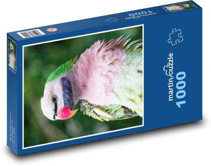 Bunter Papagei - Puzzle - 1000 Teile
