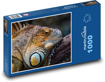 Unavený leguán na pobočke - Puzzle 1000 dielikov, rozmer 60x46 cm