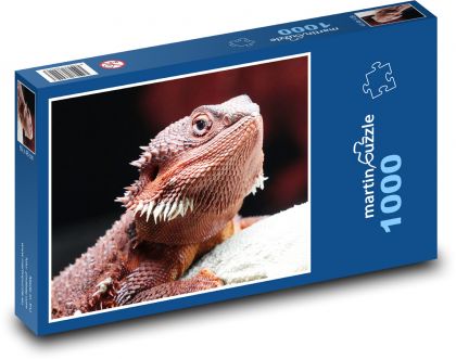 Bartdrache - Eidechse - Puzzle - 1000 Teile